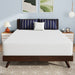 Nasturtium Mattress - Casa Morelos / Coahuila Furniture (Oklahoma City, OK)