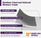 Nasturtium 12" Queen Bamboo Charcoal Infused Memory Foam - Casa Morelos / Coahuila Furniture (Oklahoma City, OK)