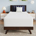 Nasturtium 12" Twin Bamboo Charcoal Infused Memory Foam - Casa Morelos / Coahuila Furniture (Oklahoma City, OK)