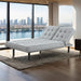 Napervill Futon Sofa - Casa Morelos / Coahuila Furniture (Oklahoma City, OK)