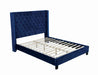 Ryleigh Bed Black, Grey, & Navy - Casa Morelos / Coahuila Furniture (Oklahoma City, OK)