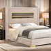 Danvers Bed - Casa Morelos / Coahuila Furniture (Oklahoma City, OK)