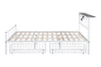 Nicoli Queen Metal Bed With Underbed Storage - Casa Morelos / Coahuila Furniture (Oklahoma City, OK)