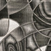 SIVAS 8' X 10' Area Rug - Casa Morelos / Coahuila Furniture (Oklahoma City, OK)