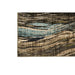 Kelowna Area Rug - Casa Morelos / Coahuila Furniture (Oklahoma City, OK)